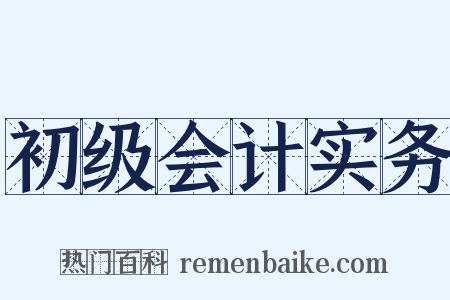 初级会计实务是什么意思的图片